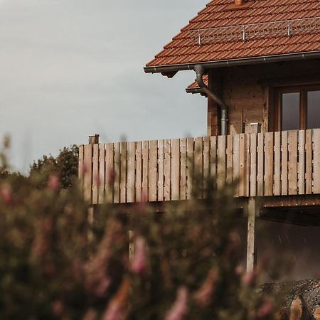 Oberwald Chalets Ferienhaus 2 Breungeshain Esterno foto