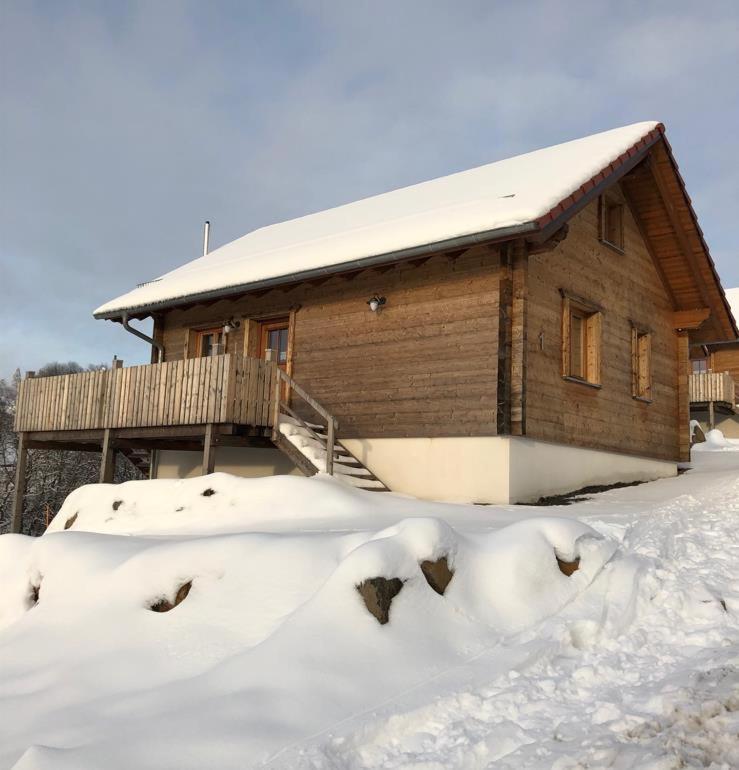 Oberwald Chalets Ferienhaus 2 Breungeshain Esterno foto