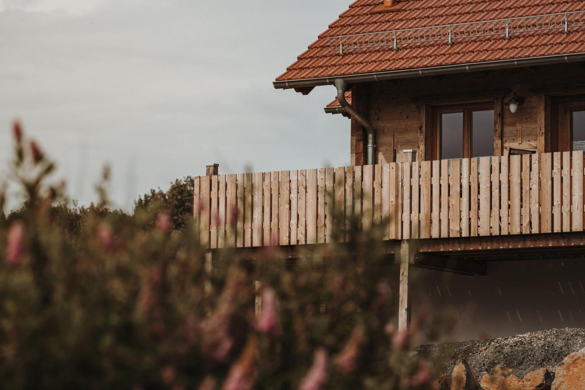 Oberwald Chalets Ferienhaus 2 Breungeshain Esterno foto